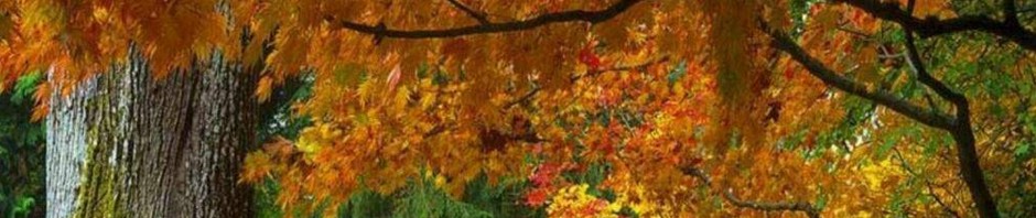 Edificios Docentes de Galicia